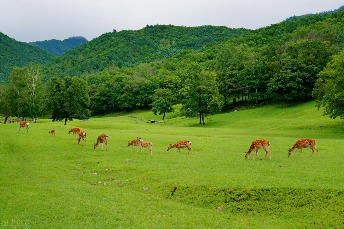 7月去哪玩？到这10个最佳旅游胜地，25℃的夏天等着你