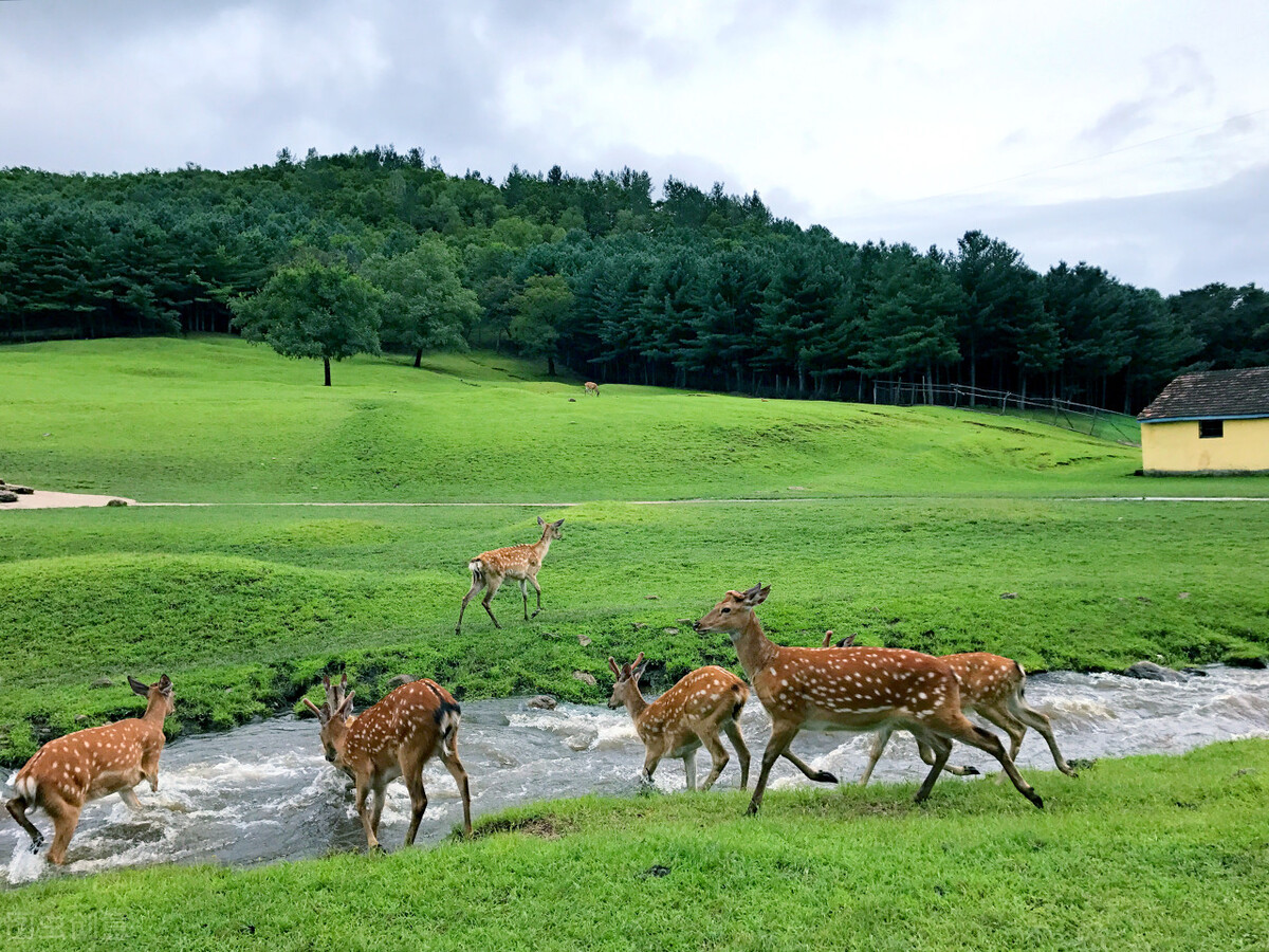 7月去哪玩？到这10个最佳旅游胜地，25℃的夏天等着你