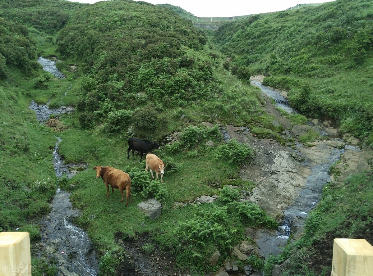 7月去哪玩？到这10个最佳旅游胜地，25℃的夏天等着你