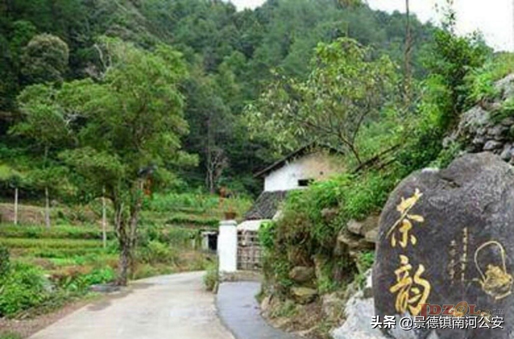 景德镇西湖乡: 山间有风景 村里有乡愁 田野有产业