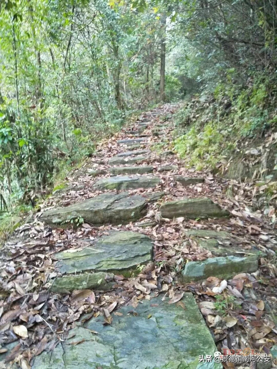 景德镇西湖乡: 山间有风景 村里有乡愁 田野有产业