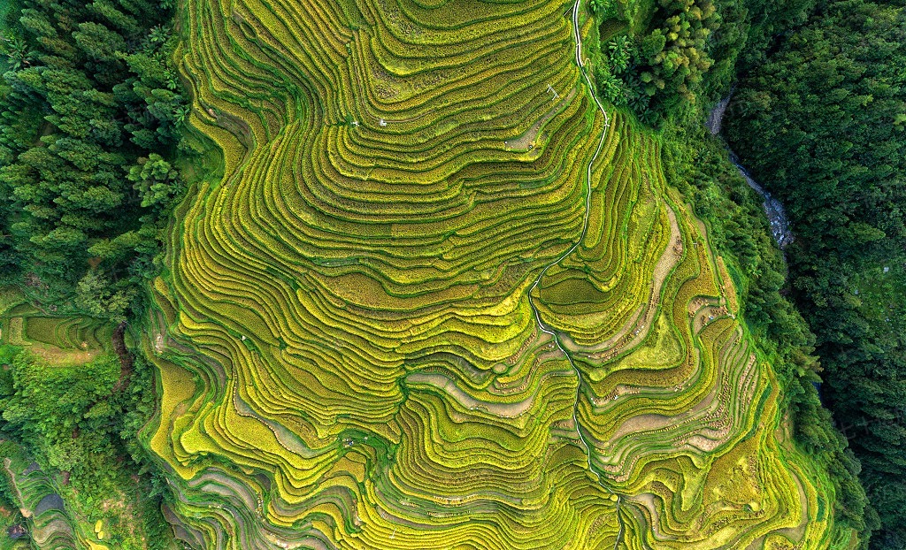 贵州黔东南到底怎么玩？（附景点路线详解）旅游干货攻略