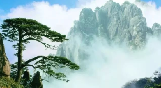 国内最美的旅游景点有哪些,中国最美的旅游地方排行榜(附季节表)(图3) 图片