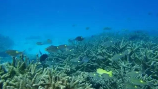 国内最美的旅游景点有哪些,中国最美的旅游地方排行榜(附季节表)(图13) 图片