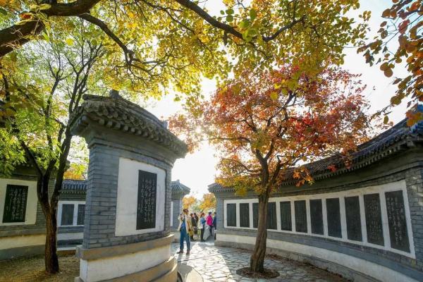 2021北京红叶观赏指南！20处最美赏秋地，什么时候看、怎么看，这里统统有！
