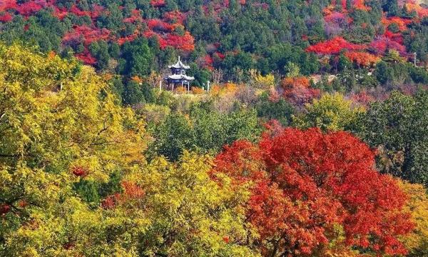 2021北京红叶观赏指南！20处最美赏秋地，什么时候看、怎么看，这里统统有！