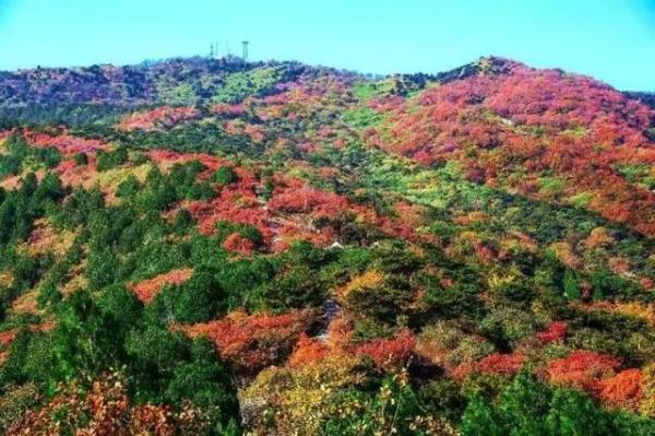 2021北京红叶观赏指南！20处最美赏秋地，什么时候看、怎么看，这里统统有！