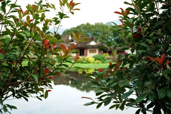 吃和住都给你考虑好了！楠溪江两天一夜自驾行攻略！