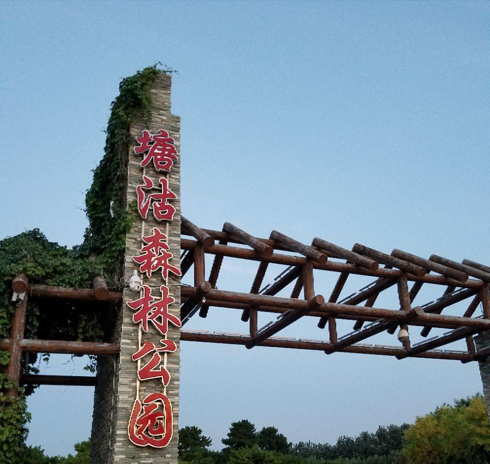 塘沽森林公园，是天津滨城规模最大的踏青赏花网红打卡地