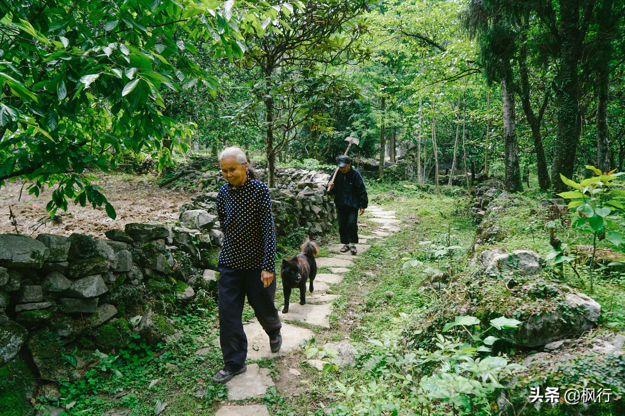 请收好这份阳朔攻略，你就不会被人套路了，2天时间尽享桂林山水