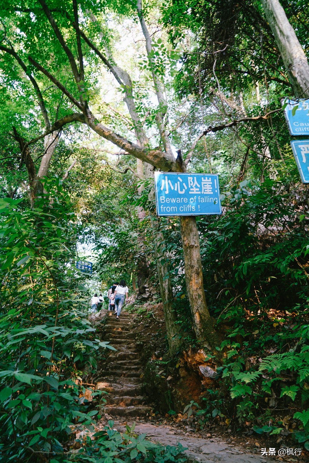 请收好这份阳朔攻略，你就不会被人套路了，2天时间尽享桂林山水