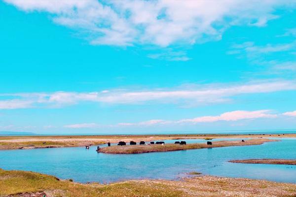 青海湖有什么好玩的景点 青海湖怎么去